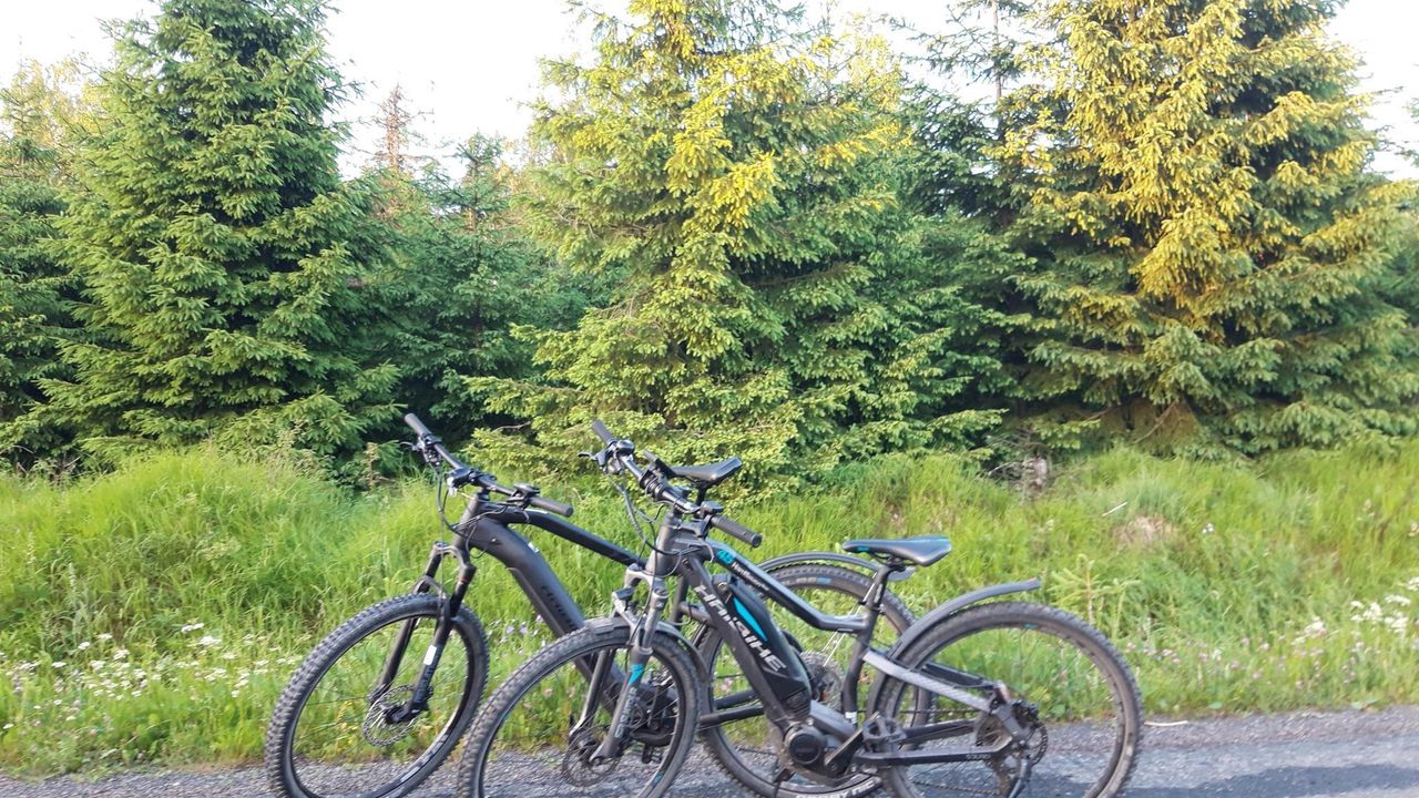 20210621_204902_resized 20210621_204902_resized